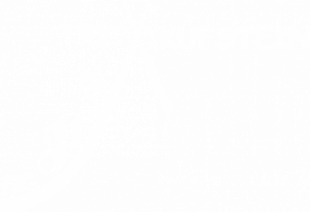 TRI-X-KUFSTEIN